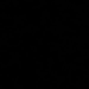 Meet your Posher, Raul